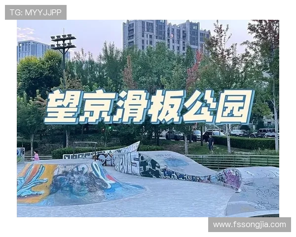 北京滑板队中路突破的成功与不足分析及未来发展方向探讨 北京滑板队中路突破的成功与不足分析及未来发展方向探讨