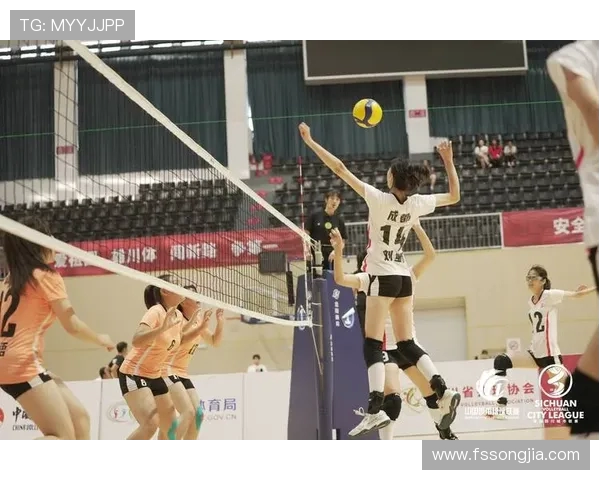 上海网球队在城市联赛积分榜上以67分稳居第一位置展现强劲实力