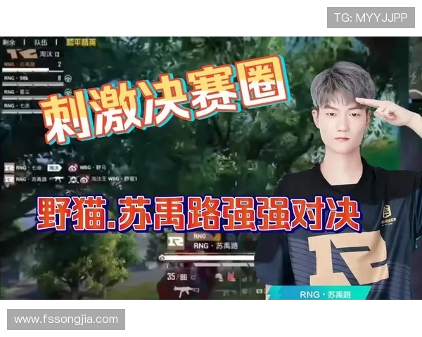 和平精英团队协作赛中RNG表现突出再创佳绩引发热议