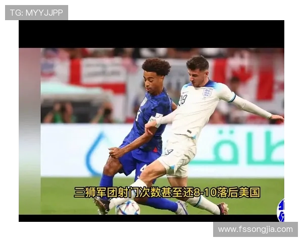 成都排球队团队协作引发热议球迷对战术配合和默契度的不同看法