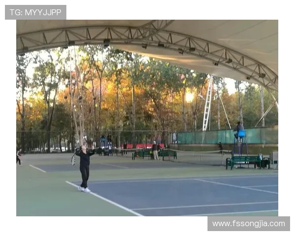 赛后分析：西安网球队与上海网球队速度对比及战术探讨