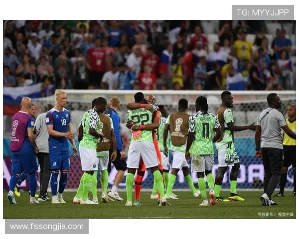 尼日利亚与喀麦隆足球对决全面分析及战术解析