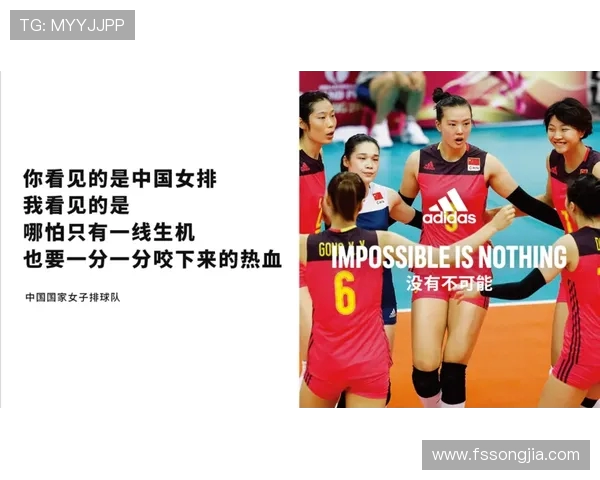 成都排球队灵活性引发热议球迷观点各异分析背后的战术思考
