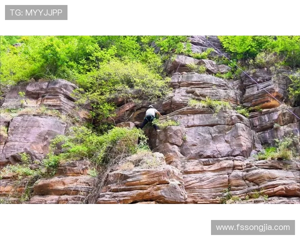 武汉攀岩队以52分稳居攀岩联赛积分榜首位展现强劲实力