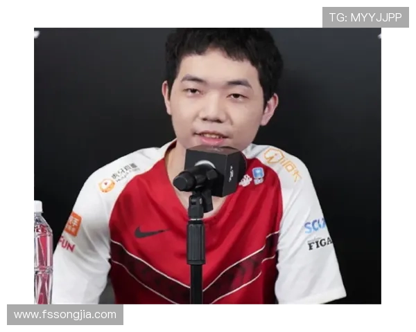 英雄联盟战术解析：深入探讨WE战队的包夹策略与执行细节