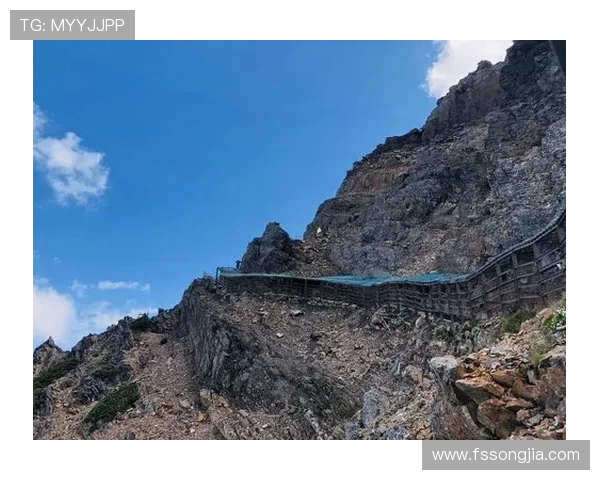 王芳独家分享攀岩技巧与心得体会助你征服高峰