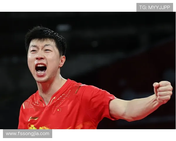 吴娜回顾乒乓球辉煌历程与心路历程的深度专访