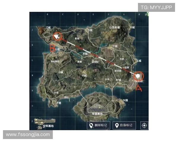 和平精英战术解析：深入探讨BLG团队的战术转换与策略调整